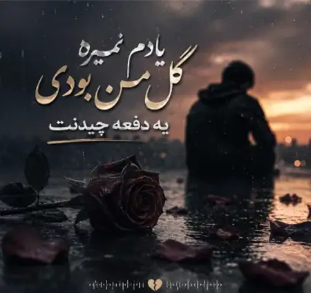 دانلود آهنگ یادم نمیره گل من بودی یه دفعه چیدنت