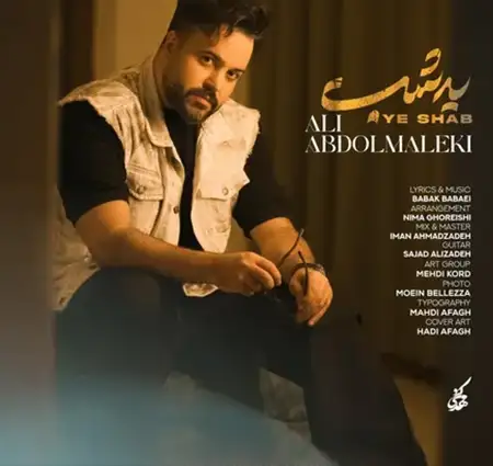 دانلود آهنگ علی عبدالمالکی یه شب