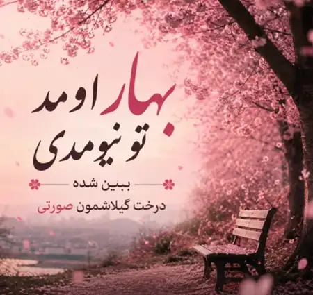  دانلود آهنگ بهار اومد تو نیومدی ببین شده درخت گیلاسمون صورتی