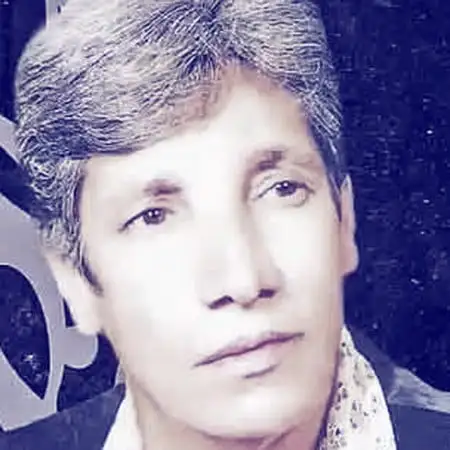 کاور آهنگ دایه دایه وقت جنگه رضا سقایی از رضا سقایی