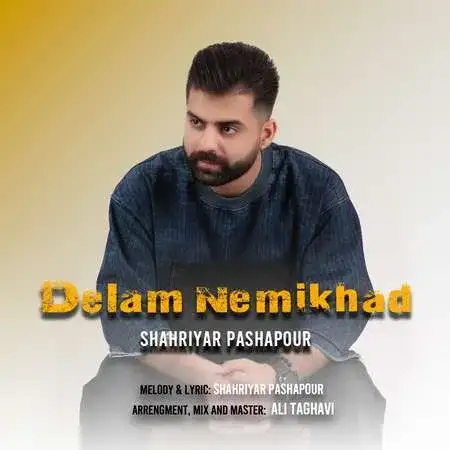 دانلود آهنگ دلم نمیخواد از شهریار پاشاپور