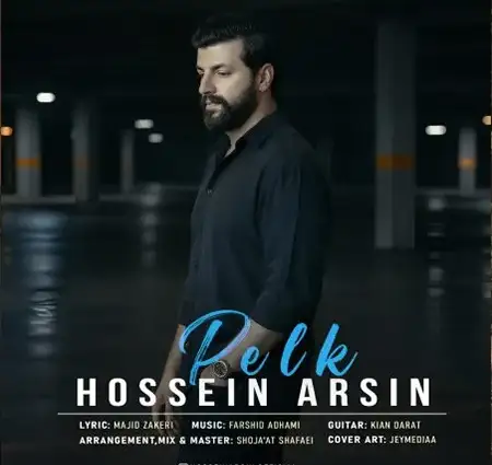 کاور آهنگ پلک و پخش آنلاین از حسین آرسین