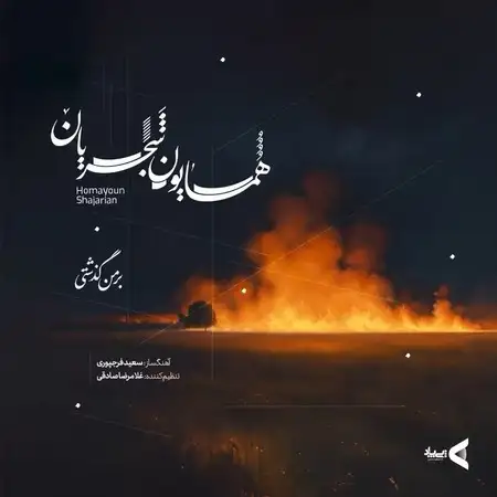 دانلود آهنگ همایون شجریان بر من گذشتی