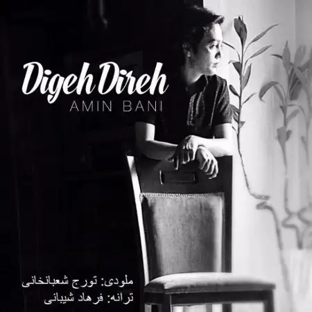 متن آهنگ دیگه دیره از امین بانی