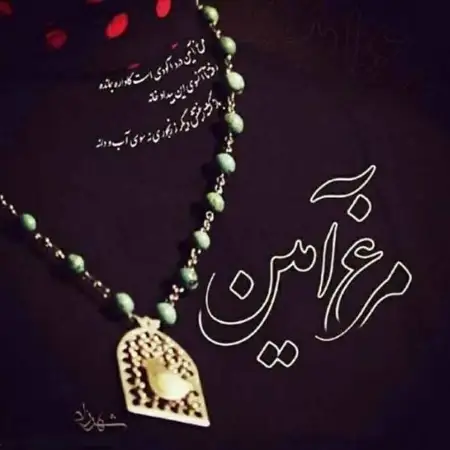 متن آهنگ مرغ آمین از امین بانی