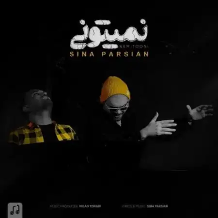 متن آهنگ نمیتونی از سینا پارسیان