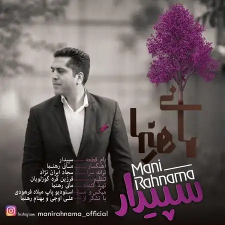 متن آهنگ سپیدار از مانی رهنما