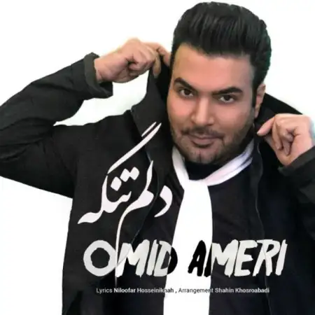 متن آهنگ دلم تنگه از امید آمری