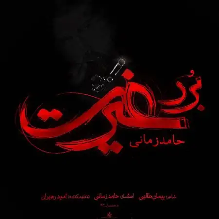 متن آهنگ برد غیرت از حامد زمانی