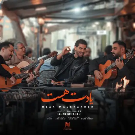متن آهنگ یادت هست از رضا ملک زاده