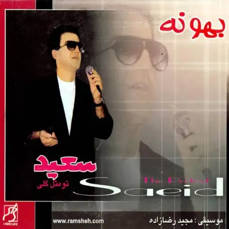 متن آهنگ زبانم را نمیدانی از سعید پورسعید
