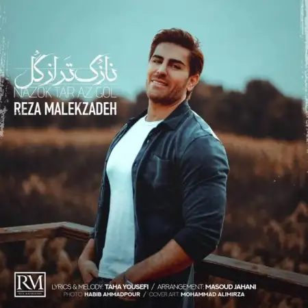 متن آهنگ نازک تر از گل از رضا ملک زاده