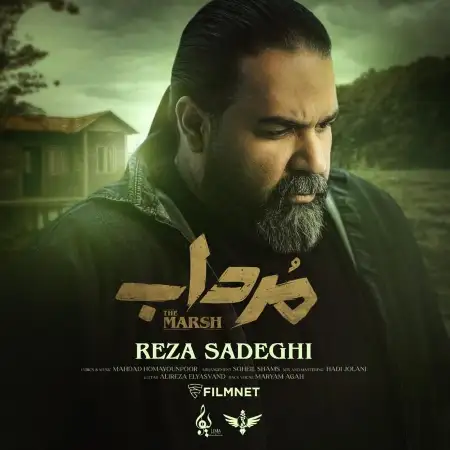 متن آهنگ مرداب از رضا صادقی