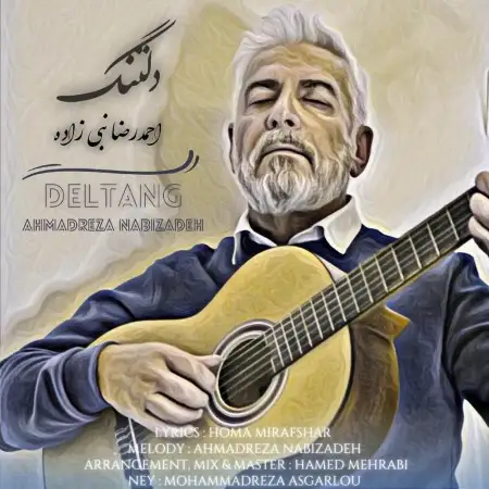 متن آهنگ دلتنگ از احمد رضا نبی زاده