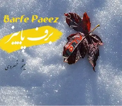 متن آهنگ برف پاییز از میثم خسروی