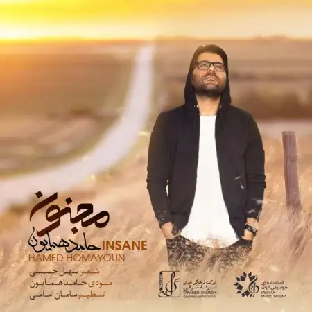 متن آهنگ مجنون از حامد همایون