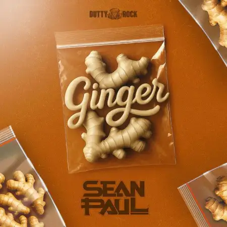 متن آهنگ Ginger از Sean Paul