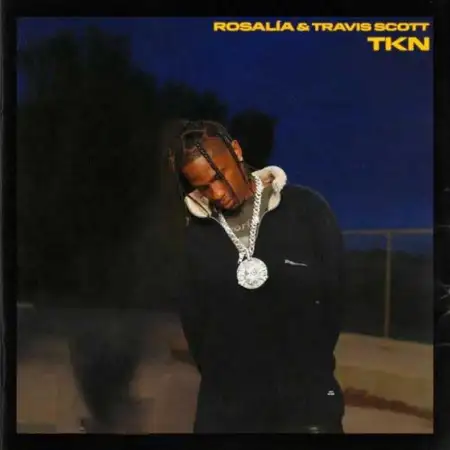 متن آهنگ Tkn از Travis Scott