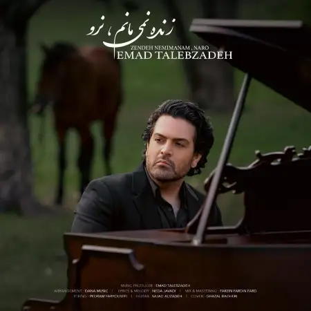 متن آهنگ زنده نمیمانم نرو از عماد طالب زاده