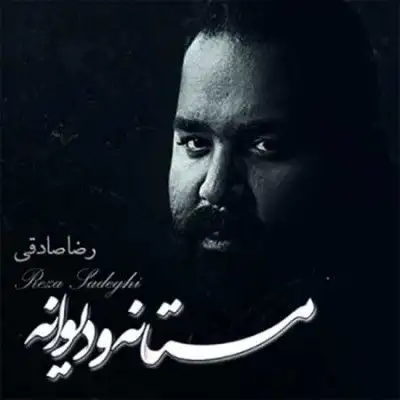 متن آهنگ به تو می اندیشم از رضا صادقی