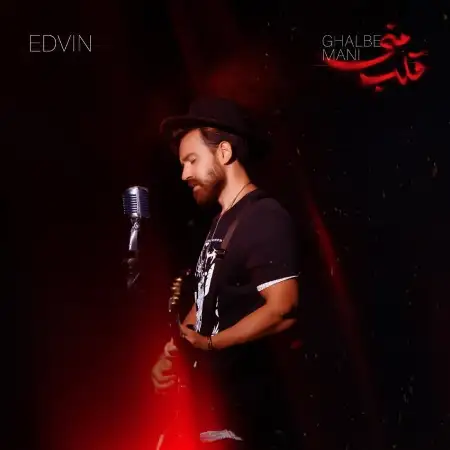 متن آهنگ قلب منی از ادوین