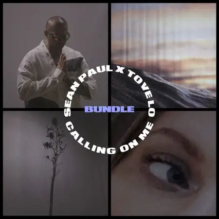 متن آهنگ Calling On Me - Hannah Bronfman Remix از Sean Paul