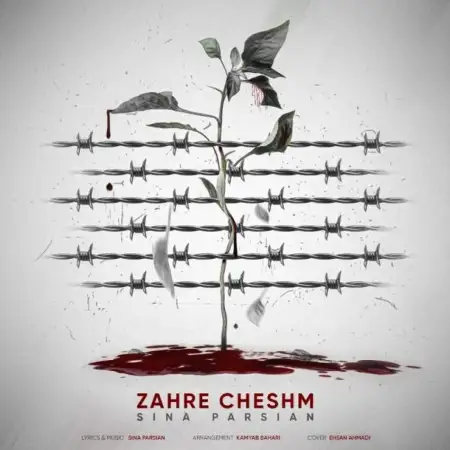 متن آهنگ زهر چشم از سینا پارسیان