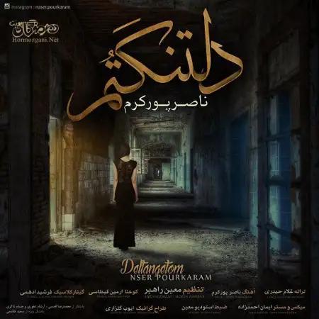 متن آهنگ دلتَنگِتُم از ناصر پورکرم