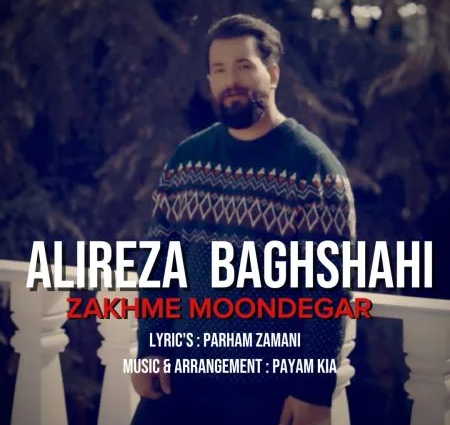 دانلود آهنگ زخم موندگار علیرضا باغشاهی