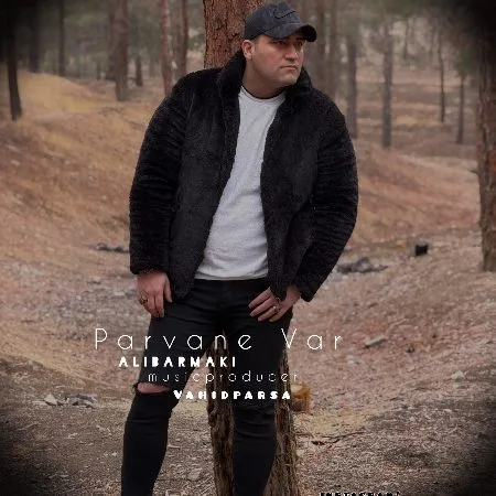 دانلود آهنگ علی برمکی پروانه وار دانلود آهنگ علی برمکی پروانه وار