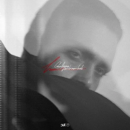 دانلود آهنگ حامیم قلبمو پس به من بده