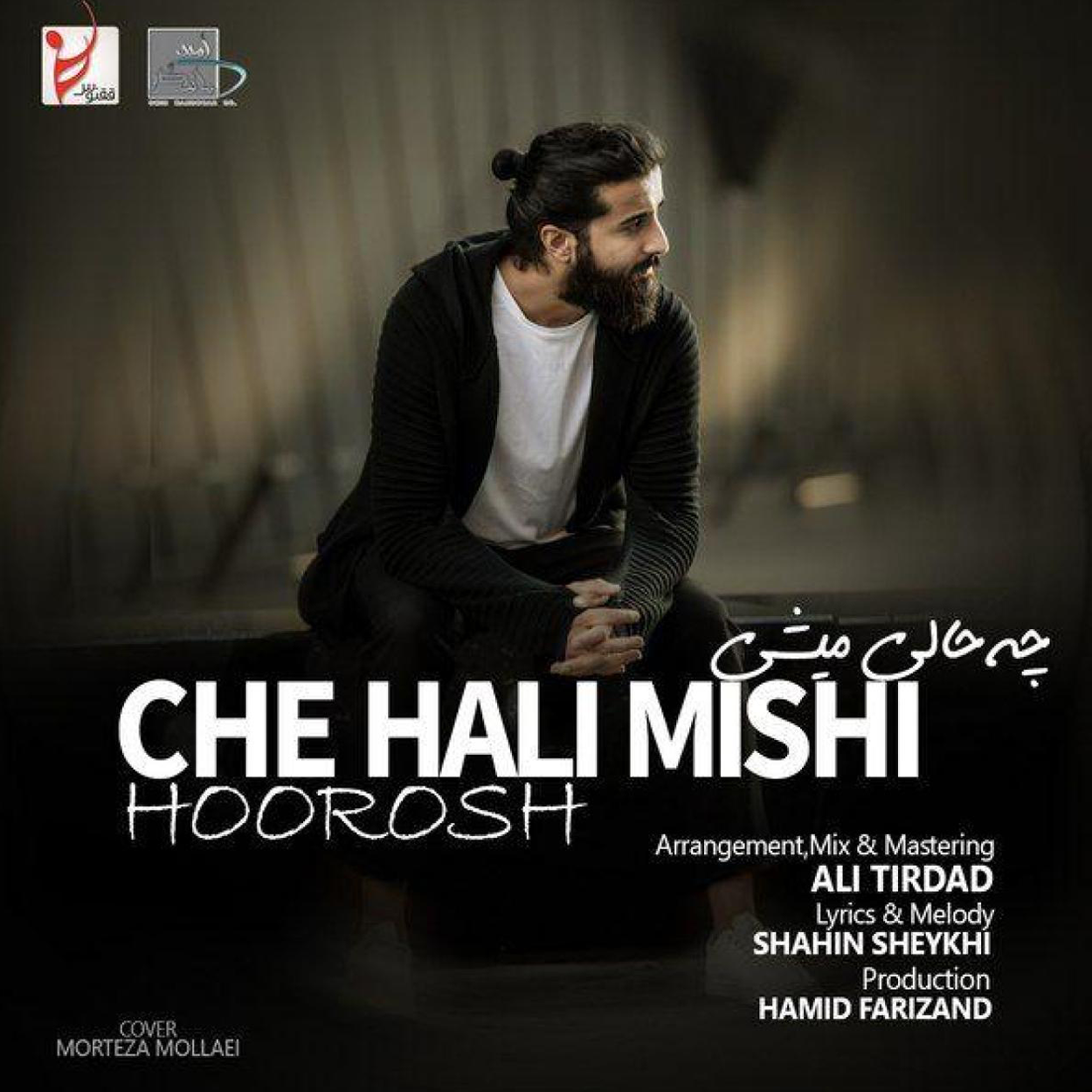 دانلود آهنگ مهدی دارابی (هوروش بند) حالت چطوره؟