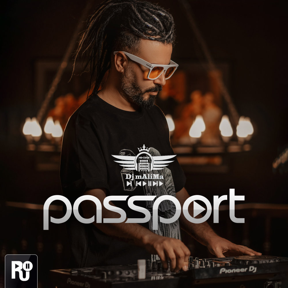 Passport 133 Passport 133