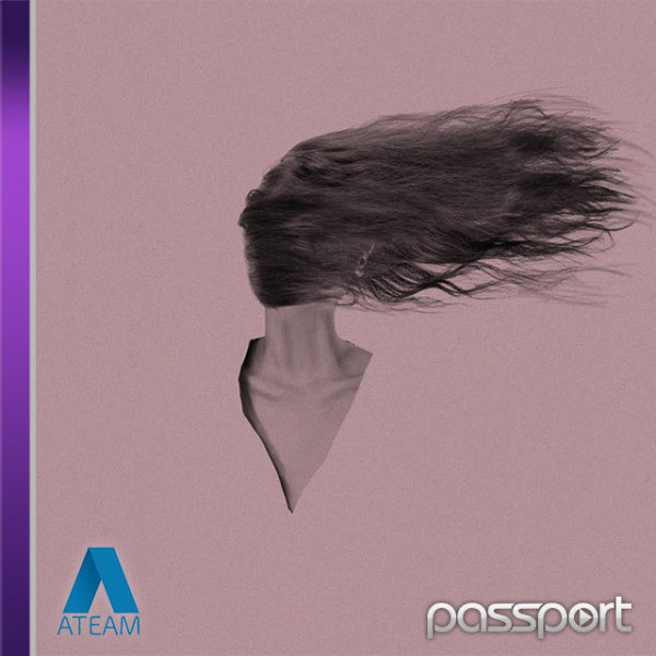 Passport 46 Passport 46