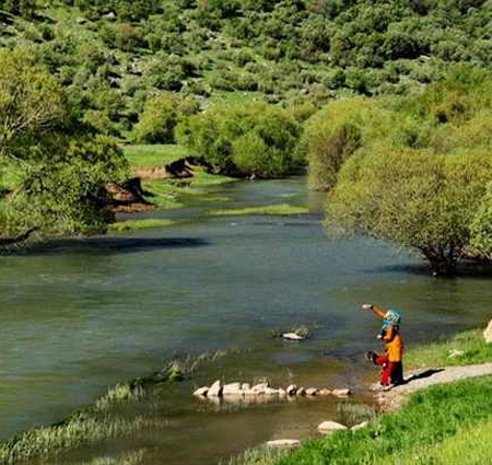 دانلود آهنگ کبوتر خیالم رفت سر بوم یارم