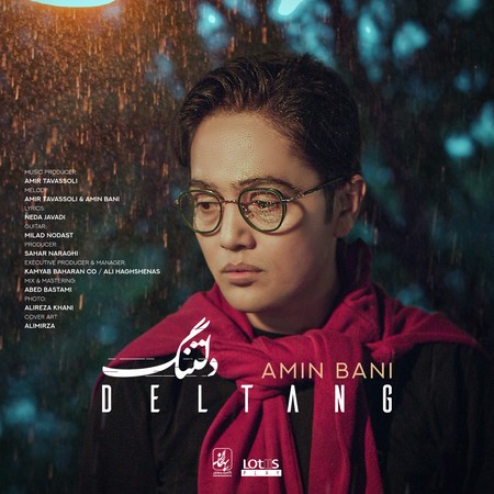 دانلود آهنگ امین بانی دلتنگ دانلود آهنگ امین بانی دلتنگ