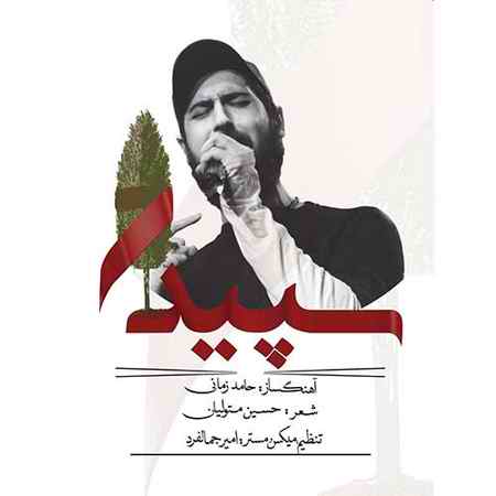 دانلود آهنگ حامد زمانی سپیدار دانلود آهنگ حامد زمانی سپیدار