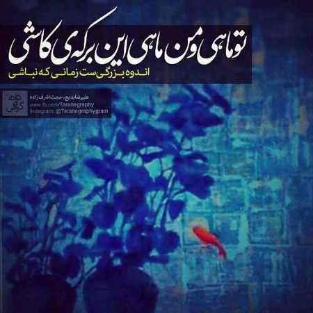 دانلود آهنگ حجت اشرف زاده ماه و ماهی دانلود آهنگ حجت اشرف زاده ماه و ماهی