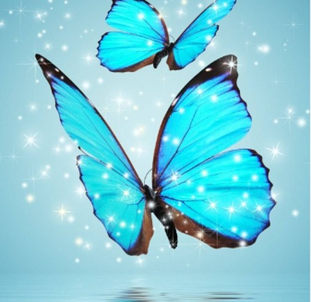 دانلود آهنگ در دام عشق افتادم پروانه ایی دلداده ام دانلود آهنگ در دام عشق افتادم پروانه ایی دلداده ام