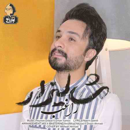 دانلود آهنگ راغب شالیزار دانلود آهنگ راغب شالیزار