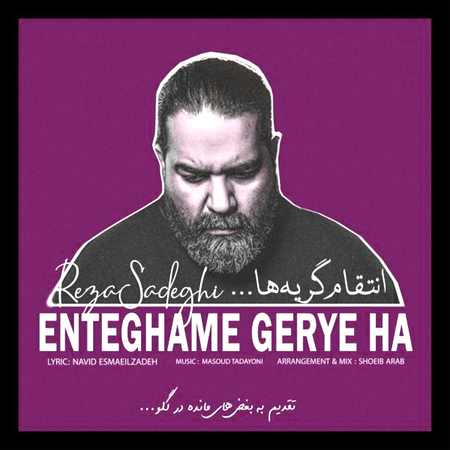 دانلود آهنگ رضا صادقی انتقام گریه ها دانلود آهنگ رضا صادقی انتقام گریه ها