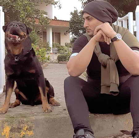 دانلود آهنگ شهاب مظفری دلشوره دانلود آهنگ شهاب مظفری دلشوره