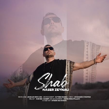 دانلود آهنگ ناصر زینعلی شب دانلود آهنگ ناصر زینعلی شب