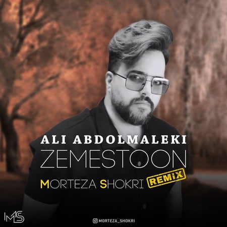 دانلود ریمیکس علی عبدالمالکی زمستون دانلود ریمیکس علی عبدالمالکی زمستون