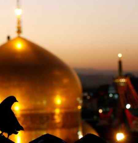 دانلود مداحی یارالی جان یارالی از مهدی رسولی دانلود مداحی یارالی جان یارالی از مهدی رسولی